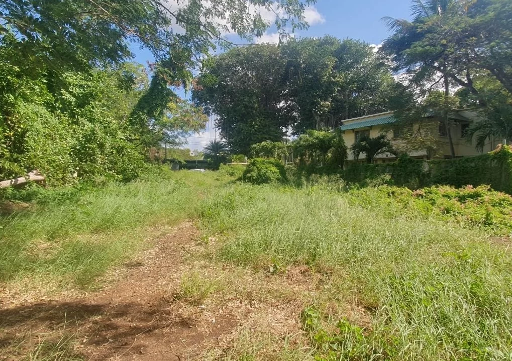 Beachfront land for sale in POINTE AUX SABLES 10