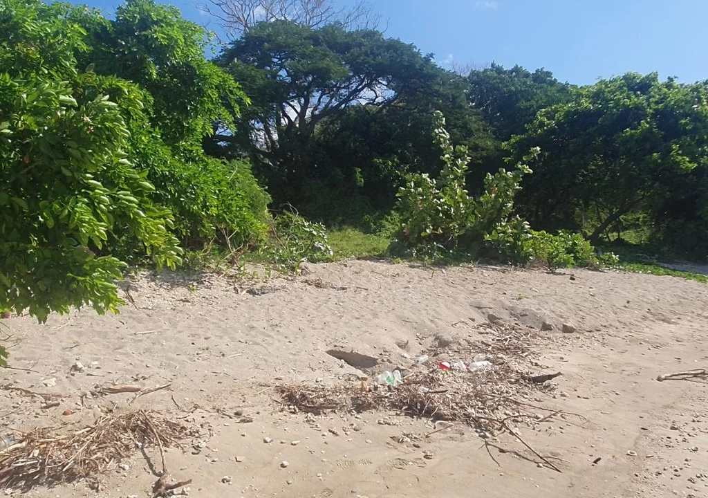 Beachfront land for sale in POINTE AUX SABLES 11