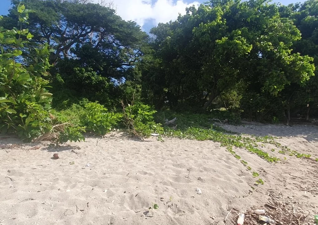 Beachfront land for sale in POINTE AUX SABLES 12