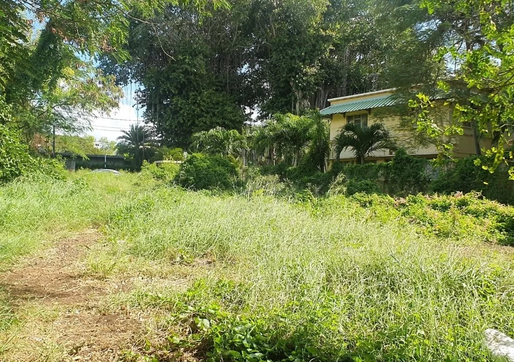 Beachfront land for sale in POINTE AUX SABLES 4