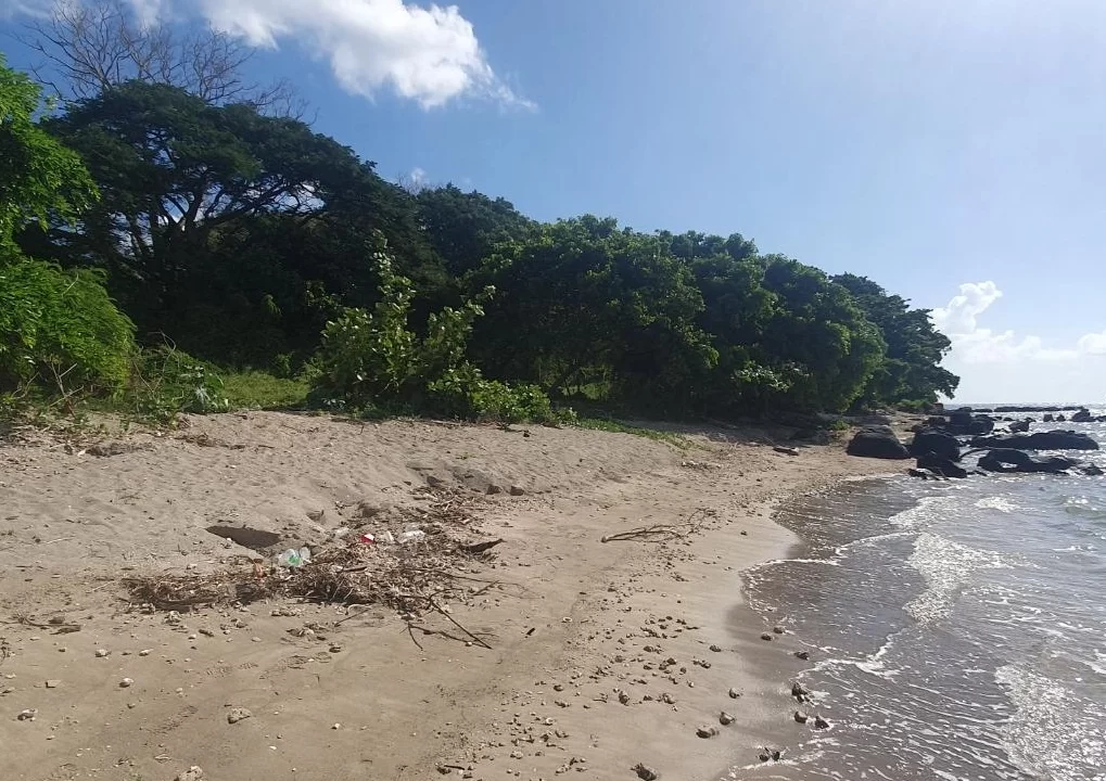 Beachfront land for sale in POINTE AUX SABLES 7