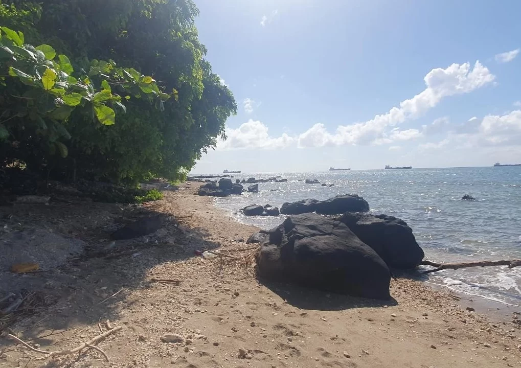 Beachfront land for sale in POINTE AUX SABLES 8