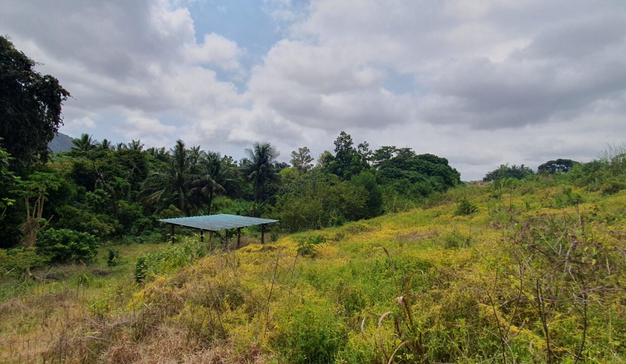 Agricultural Land For Sale – 88 Perches in Highlands 1