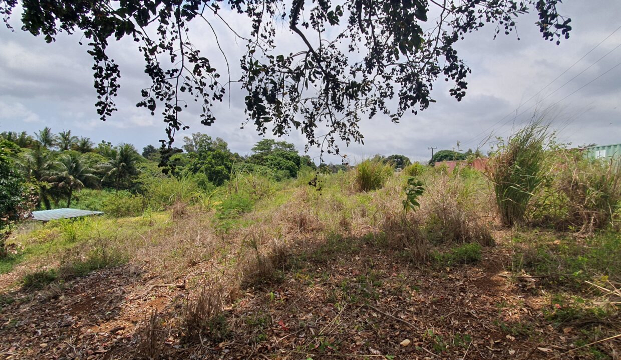 Agricultural Land For Sale – 88 Perches in Highlands 3