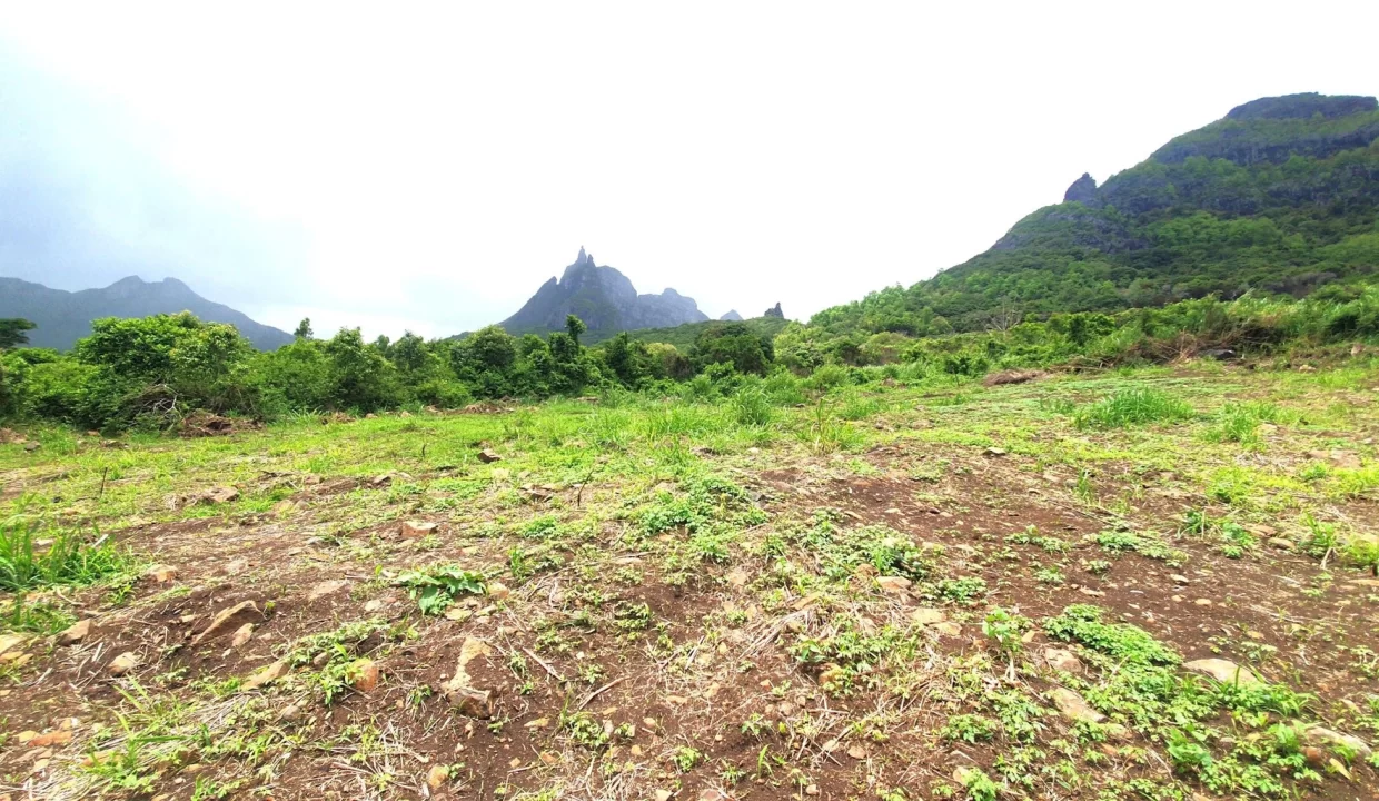 51 Perches Residential Land for Sale – Creve Coeur 1