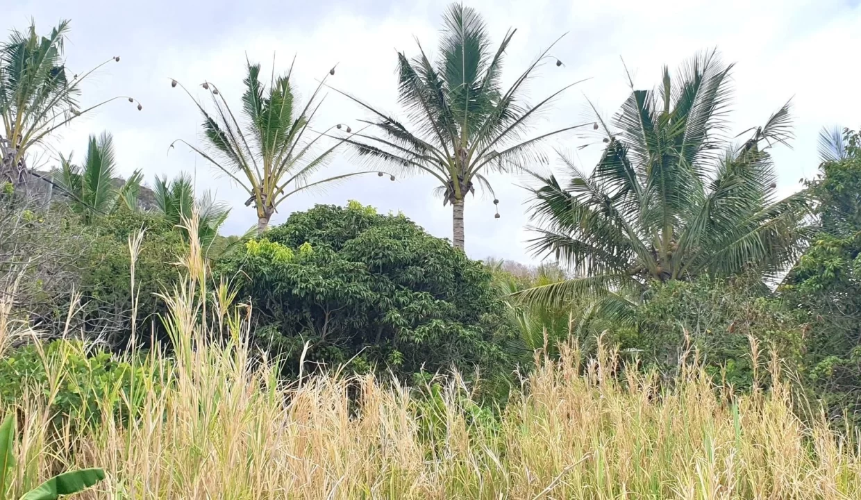 51 Perches Residential Land for Sale – Creve Coeur 11