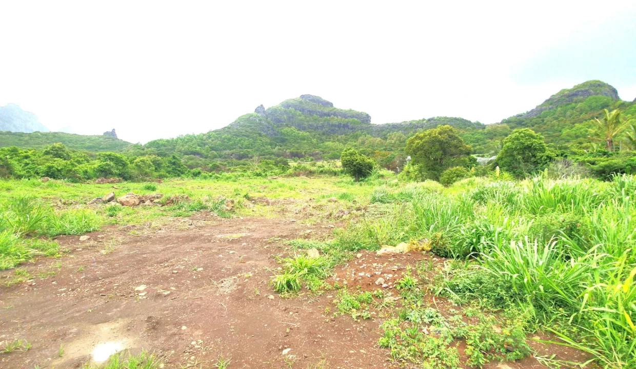 51 Perches Residential Land for Sale – Creve Coeur 14