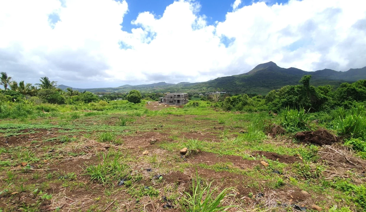 51 Perches Residential Land for Sale – Creve Coeur 18