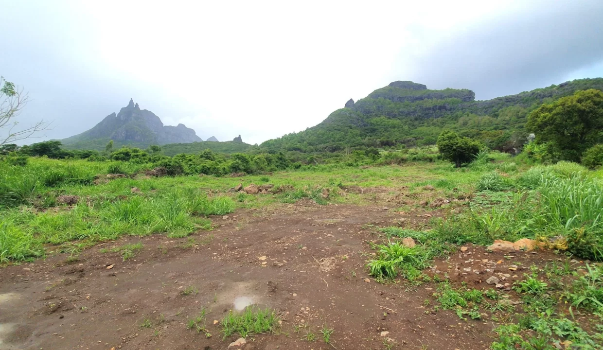 51 Perches Residential Land for Sale – Creve Coeur 19