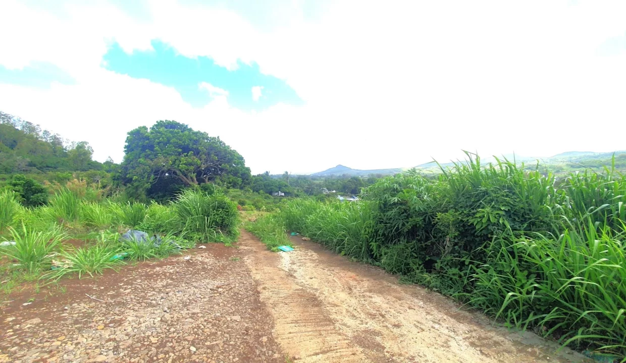 51 Perches Residential Land for Sale – Creve Coeur 2