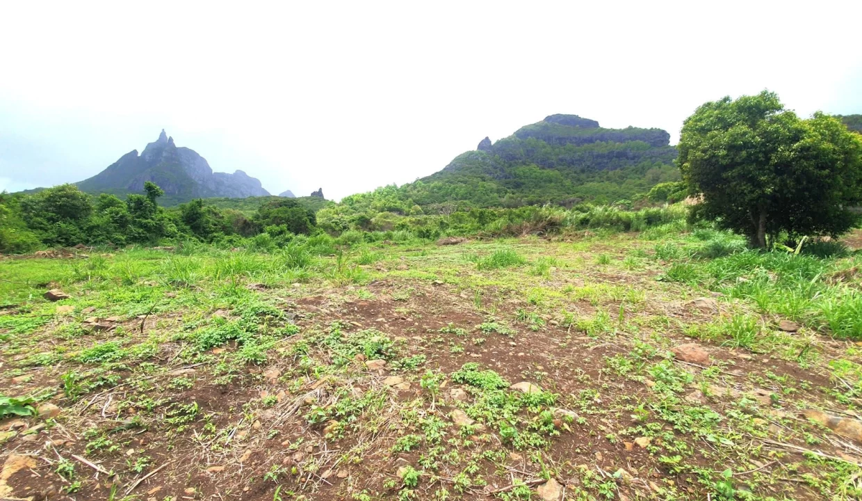 51 Perches Residential Land for Sale – Creve Coeur 6