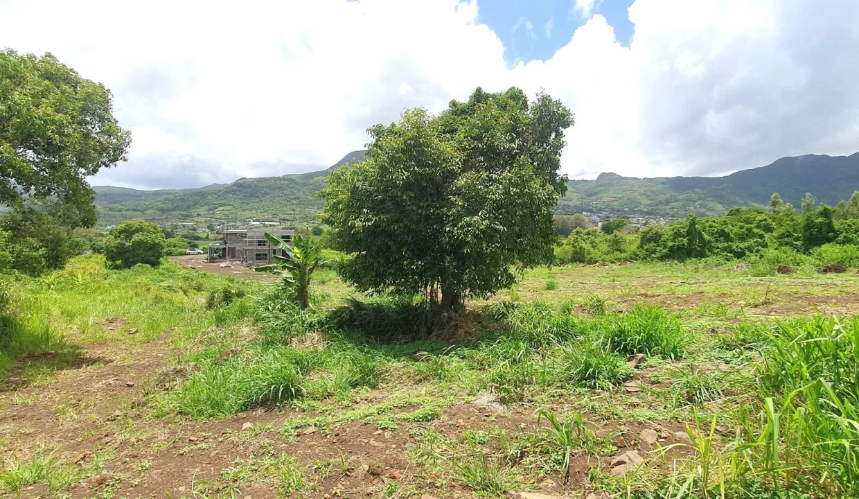 51 Perches Residential Land for Sale – Creve Coeur 7