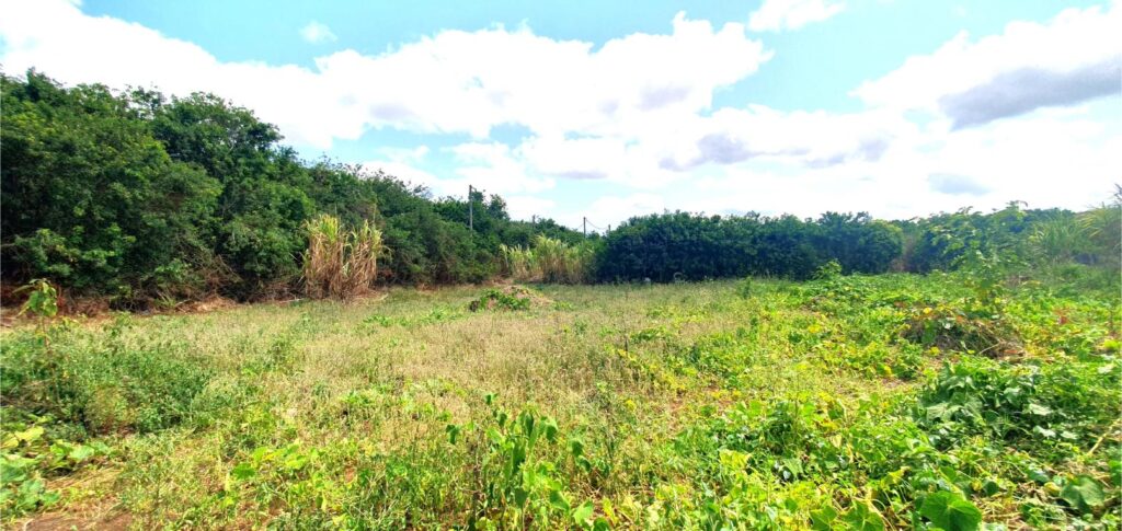 Prime Residential/Commercial Land for Sale in Vacoas!