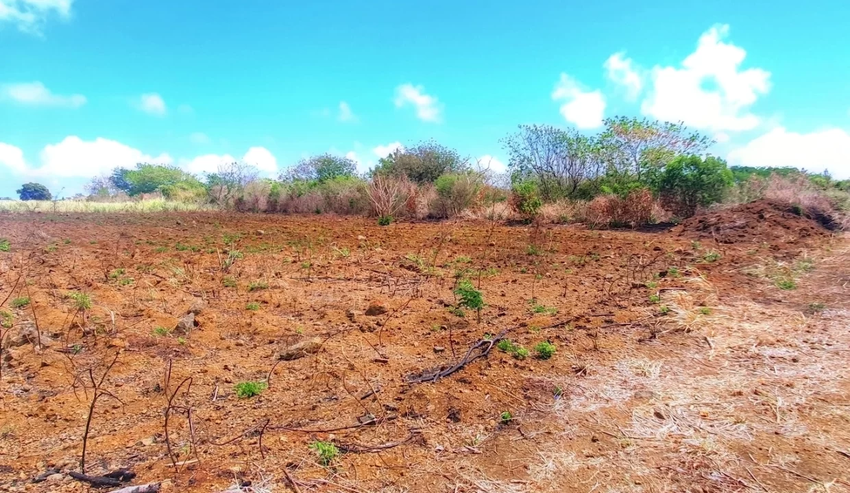 Prime Land for Sale - Near Petit Raffray Multipurpose Complex 1