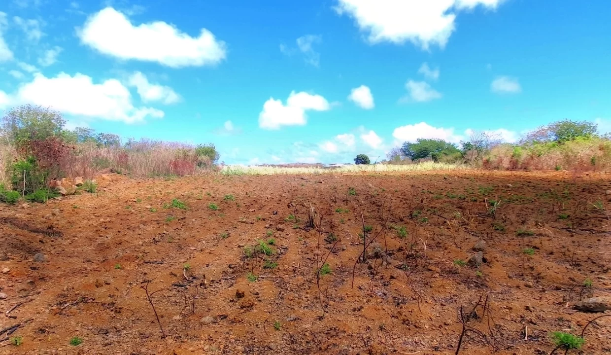 Prime Land for Sale - Near Petit Raffray Multipurpose Complex 3
