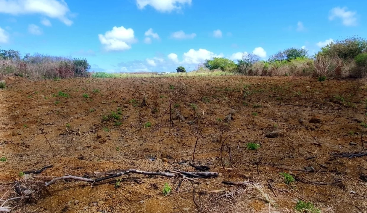 Prime Land for Sale - Near Petit Raffray Multipurpose Complex 4