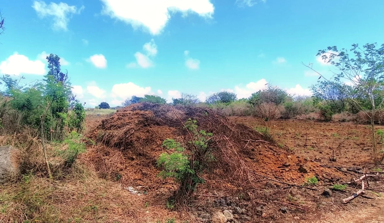 Prime Land for Sale - Near Petit Raffray Multipurpose Complex 5