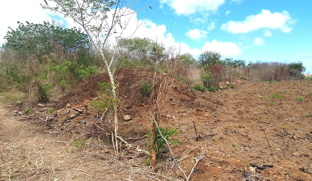 Prime Land for Sale - Near Petit Raffray Multipurpose Complex 7