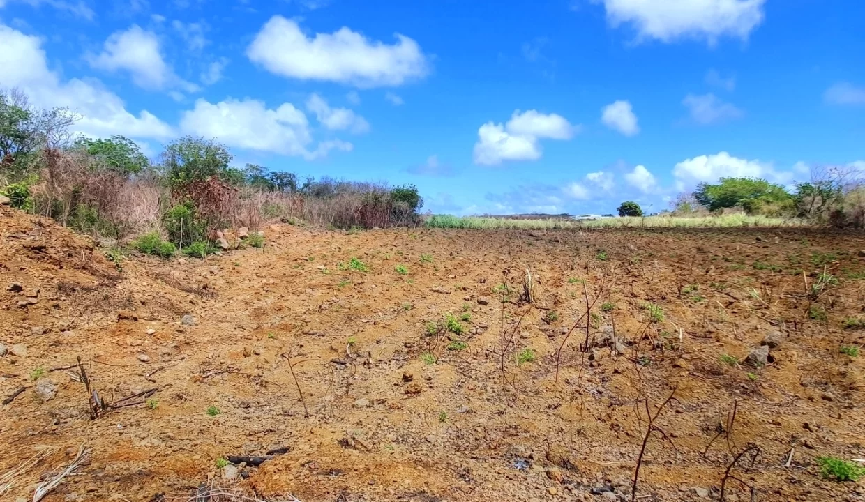 Prime Land for Sale - Near Petit Raffray Multipurpose Complex 8
