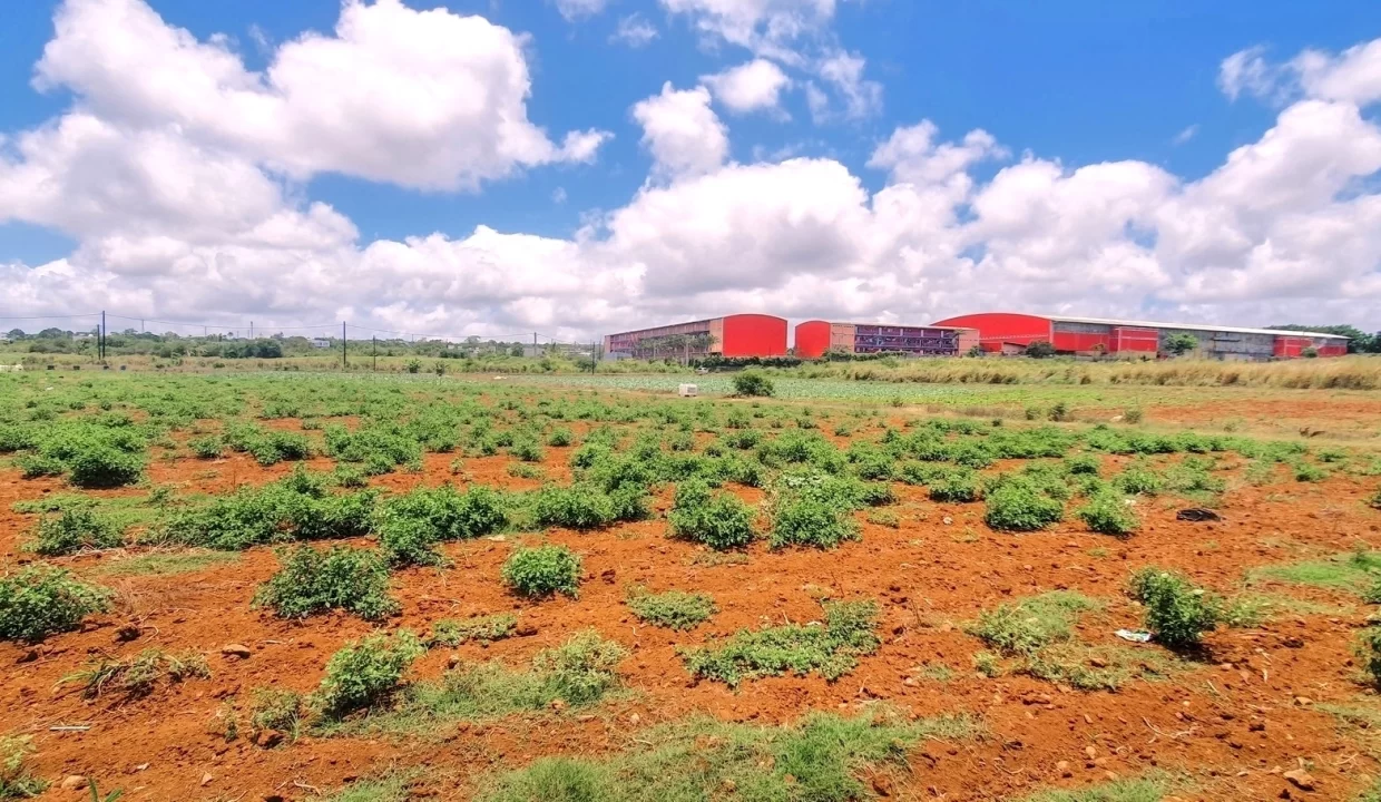 Commercial Land for Sale at Valentina – Phoenix Center 1