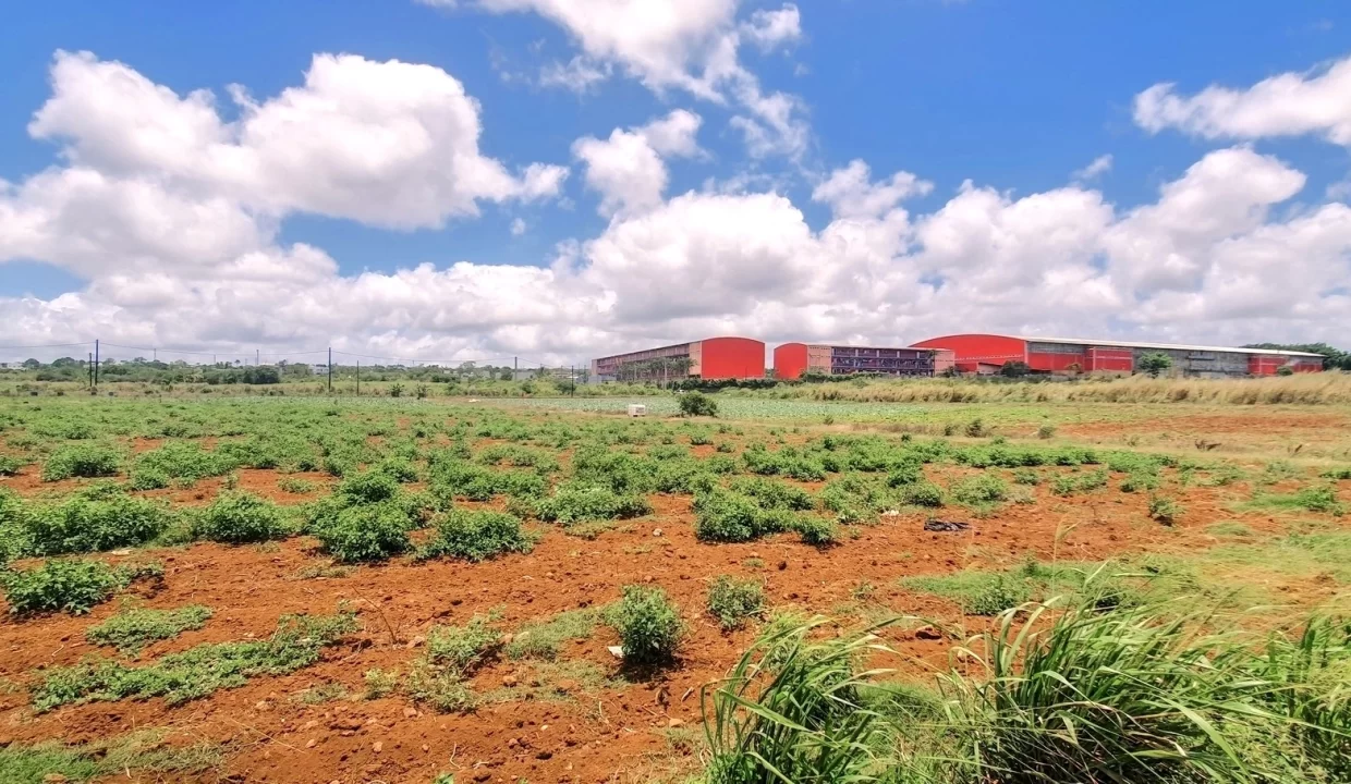 Commercial Land for Sale at Valentina – Phoenix Center 10