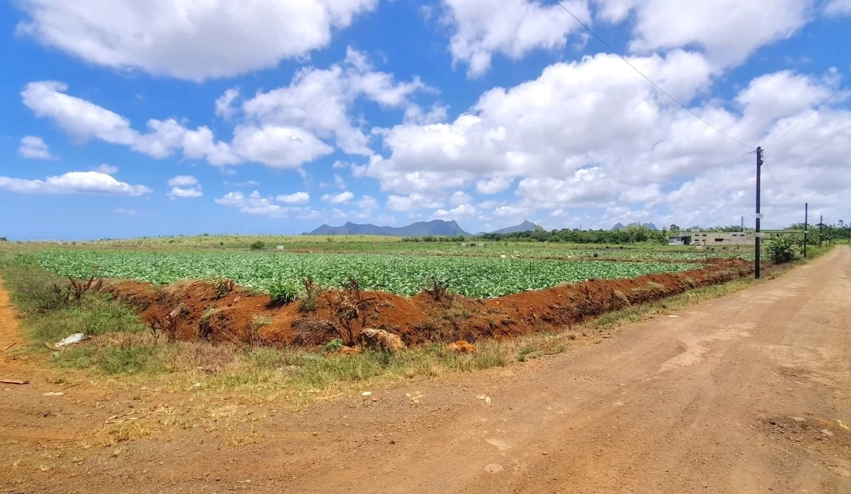 Commercial Land for Sale at Valentina – Phoenix Center 2