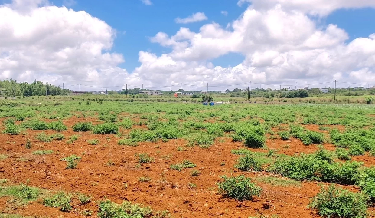 Commercial Land for Sale at Valentina – Phoenix Center 3