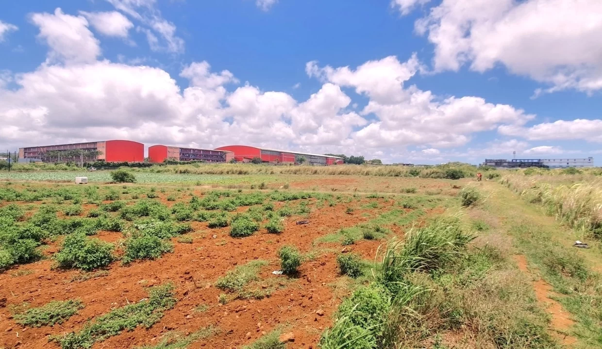 Commercial Land for Sale at Valentina – Phoenix Center 4