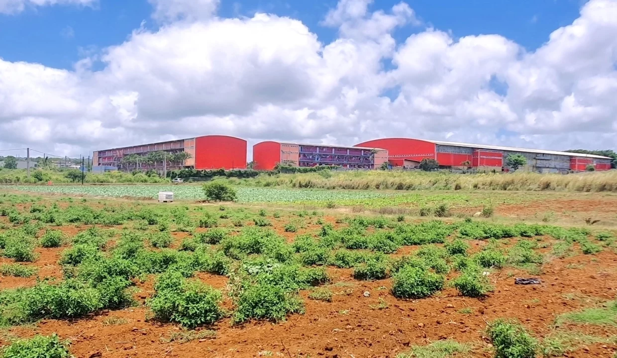 Commercial Land for Sale at Valentina – Phoenix Center 5