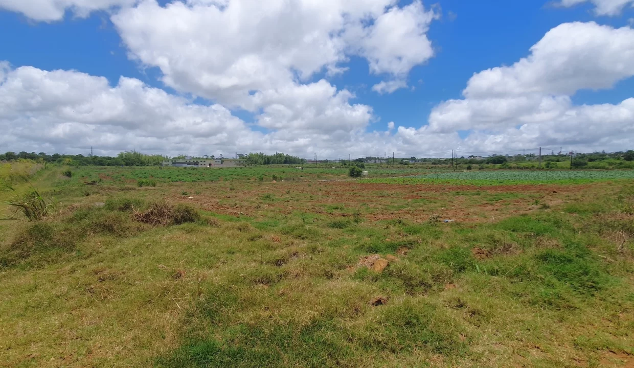 Commercial Land for Sale at Valentina – Phoenix Center 6