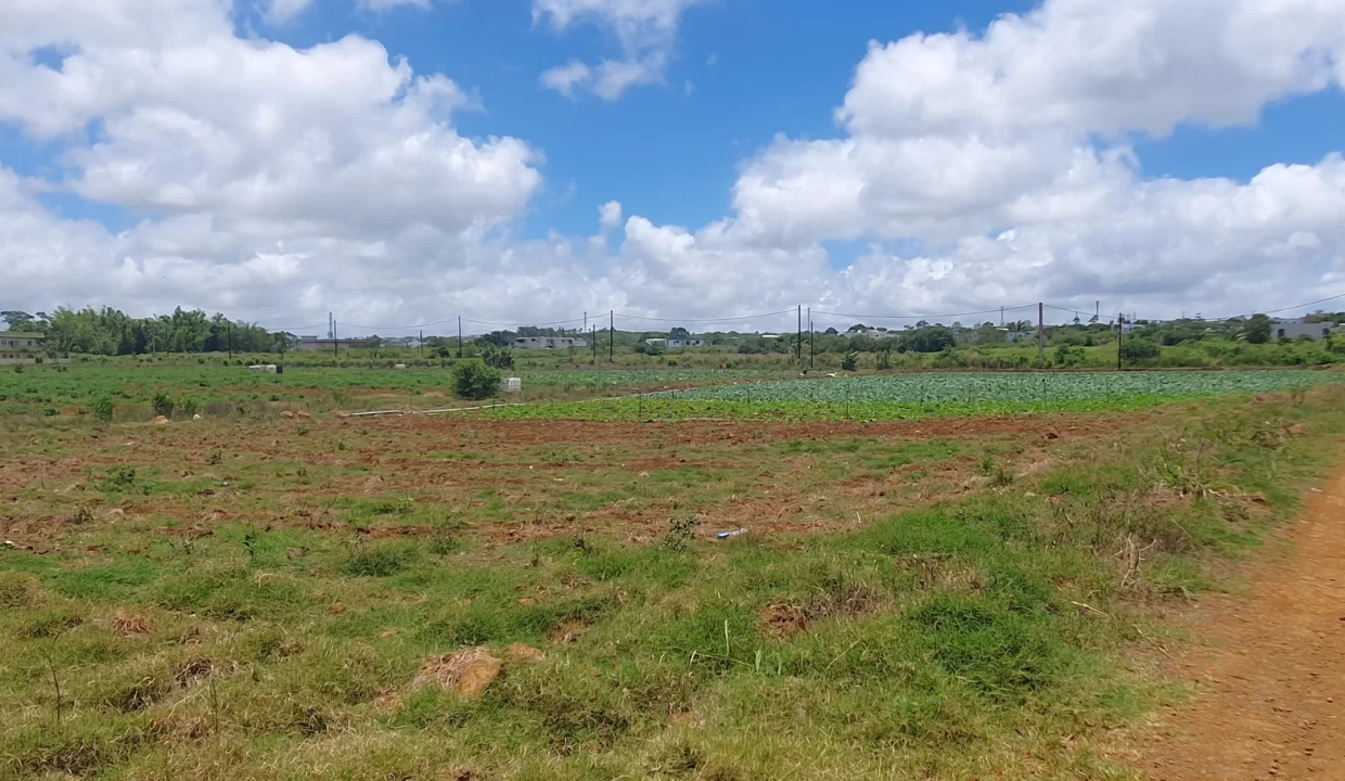 Commercial Land for Sale at Valentina – Phoenix Center 9