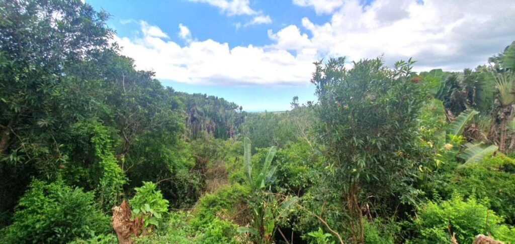 Agricultural Land for Sale at Beau Climat – Breathtaking Views and Ideal for Farming!