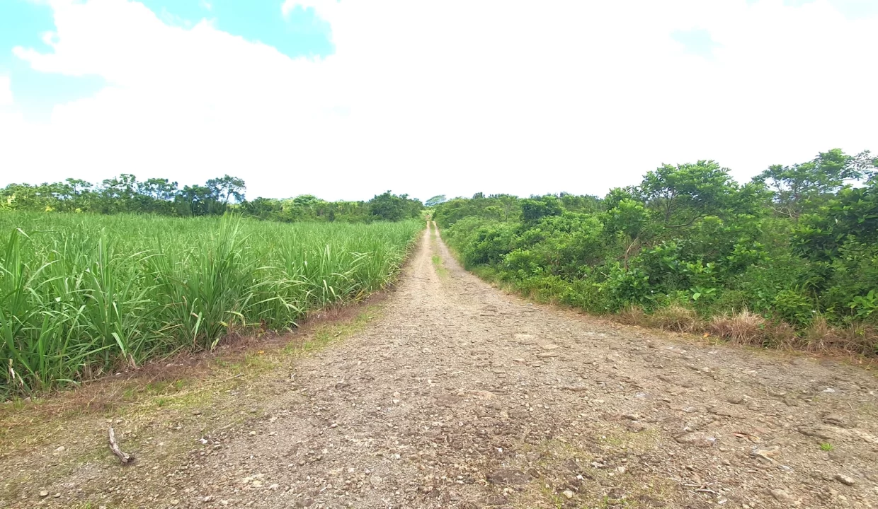 Agricultural Land for Sale in Beau Climat, South – Prime Plot for Cultivation! 1