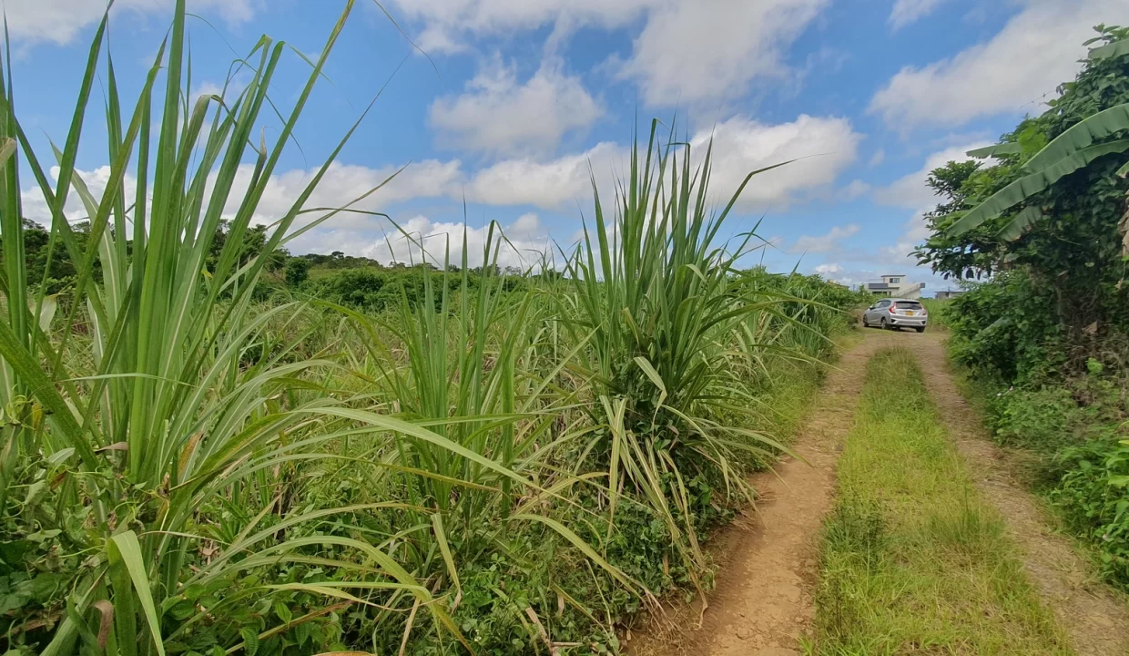 Agricultural Land for Sale in Beau Climat, South – Prime Plot for Cultivation! 11