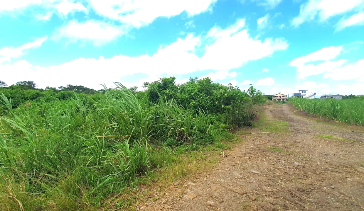 Agricultural Land for Sale in Beau Climat, South – Prime Plot for Cultivation! 2
