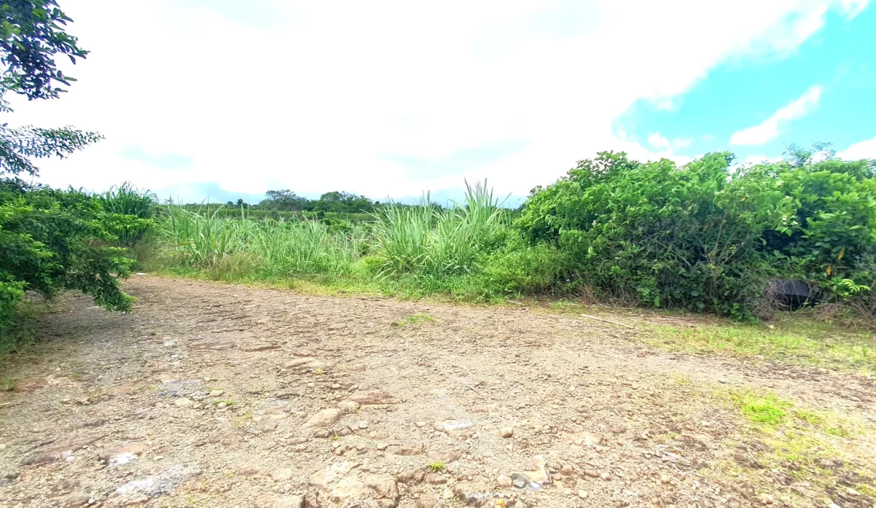 Agricultural Land for Sale in Beau Climat, South – Prime Plot for Cultivation! 6