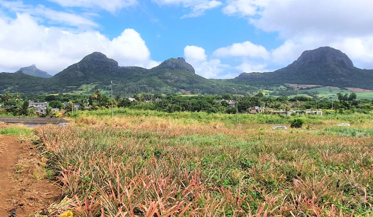 Agricultural Land for Sale – 233 Perche(s), Long Mountain, North 1