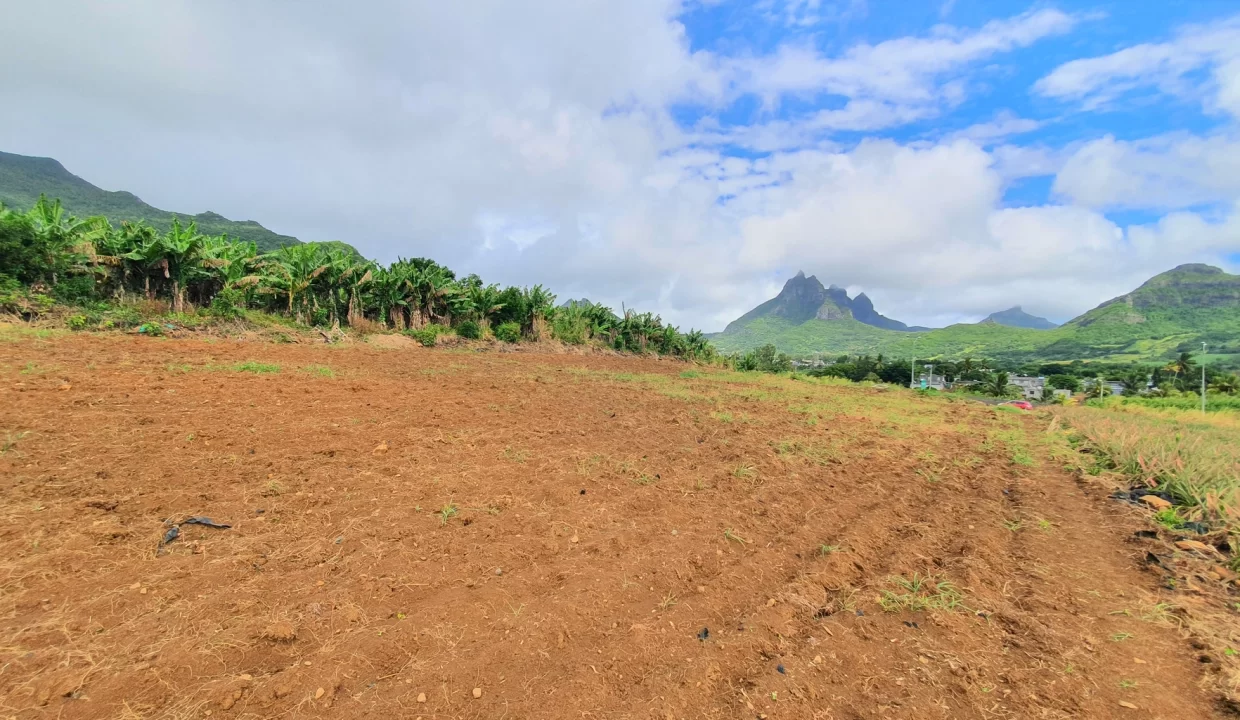Agricultural Land for Sale – 233 Perche(s), Long Mountain, North 10