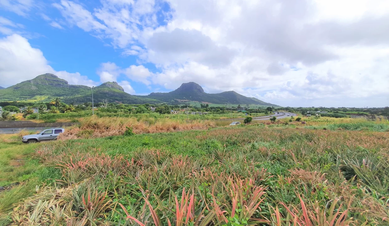 Agricultural Land for Sale – 233 Perche(s), Long Mountain, North 11