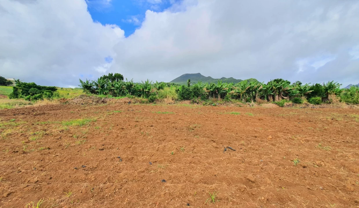 Agricultural Land for Sale – 233 Perche(s), Long Mountain, North 12