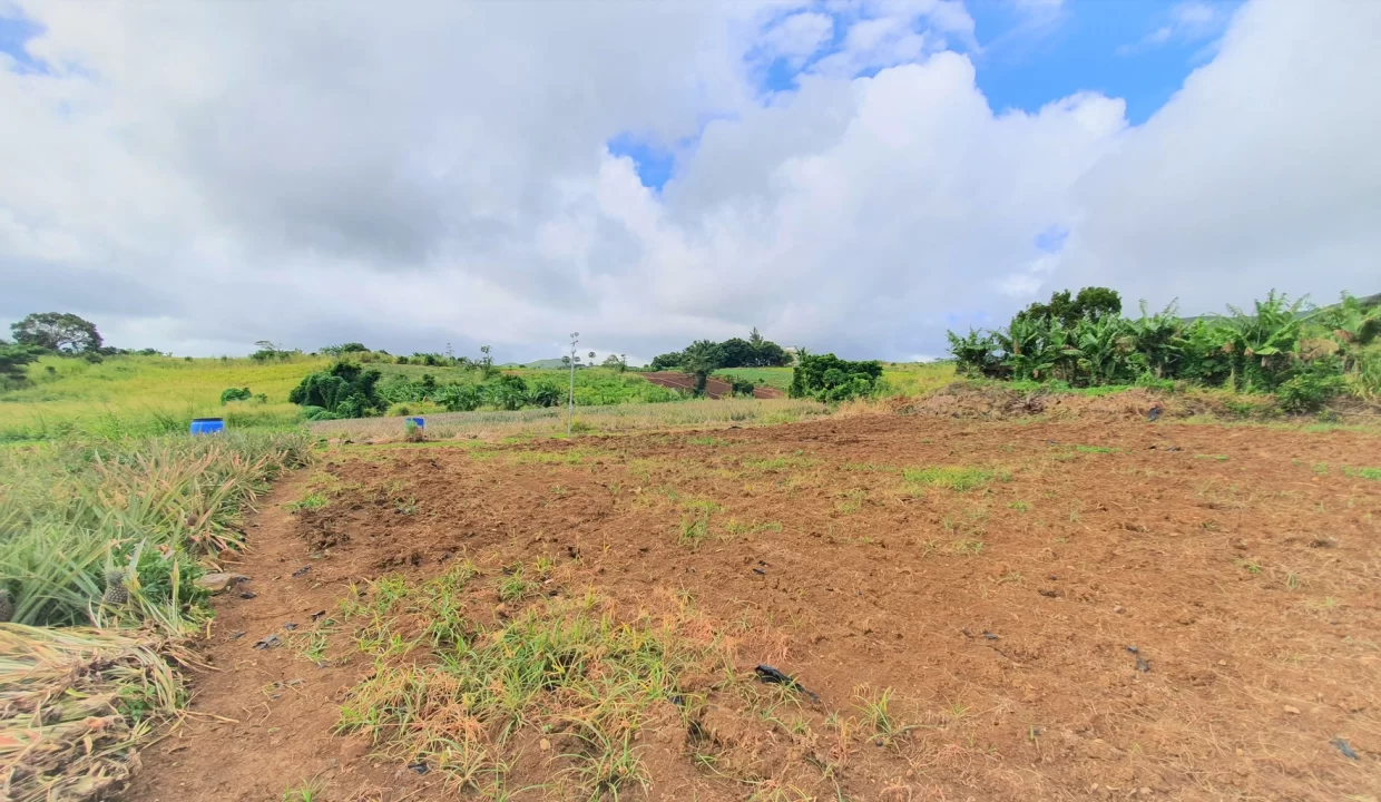 Agricultural Land for Sale – 233 Perche(s), Long Mountain, North 4