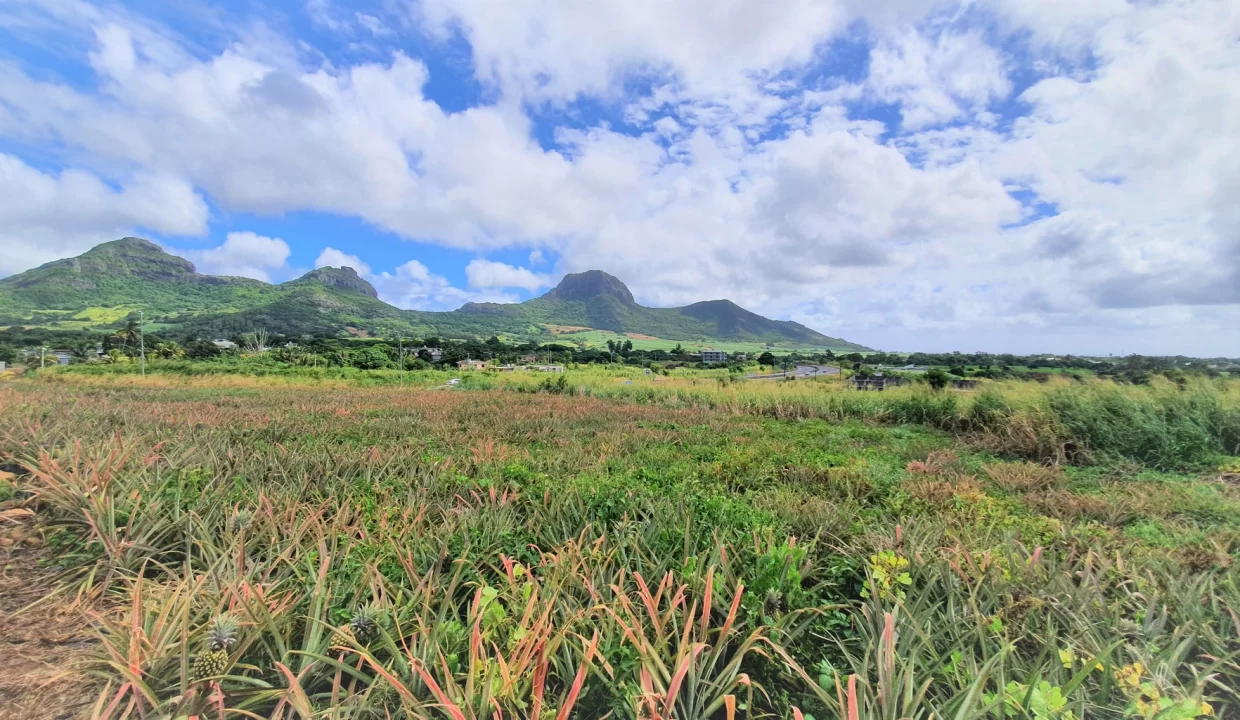 Agricultural Land for Sale – 233 Perche(s), Long Mountain, North 5