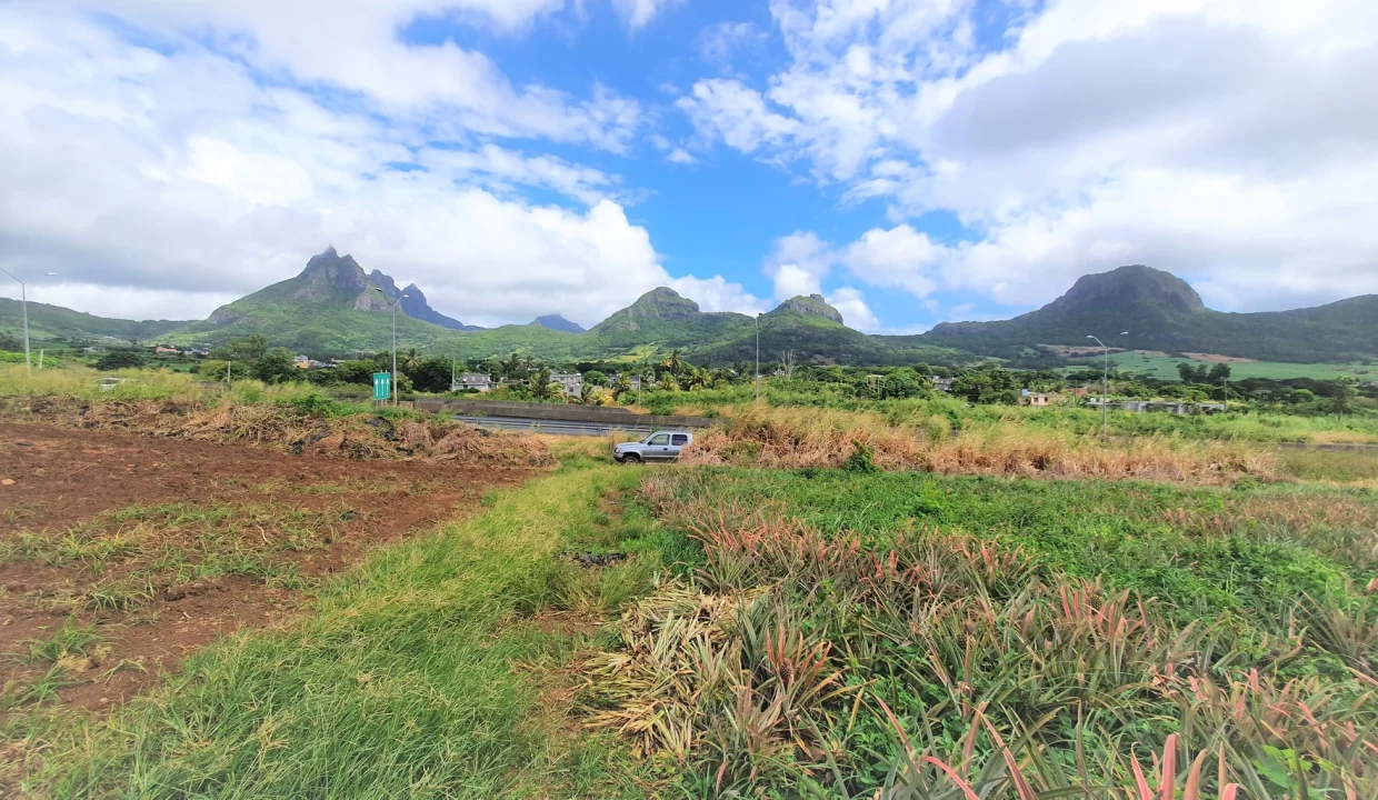 Agricultural Land for Sale – 233 Perche(s), Long Mountain, North 6