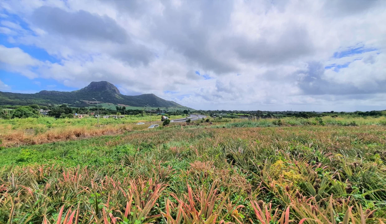 Agricultural Land for Sale – 233 Perche(s), Long Mountain, North 7