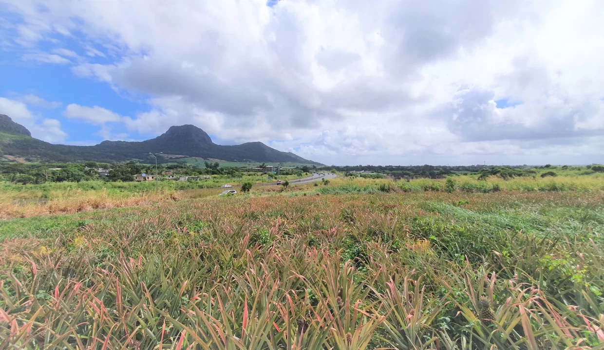 Agricultural Land for Sale – 233 Perche(s), Long Mountain, North 8