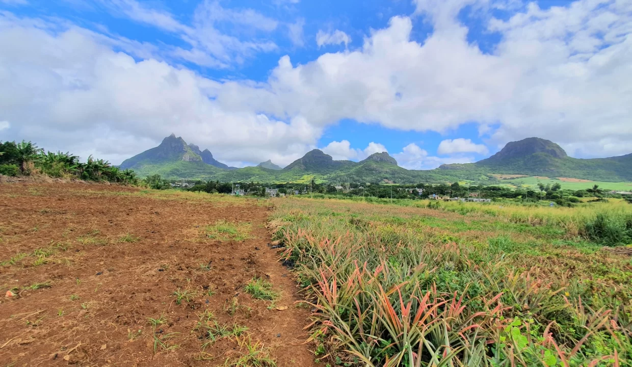 Agricultural Land for Sale – 233 Perche(s), Long Mountain, North 9