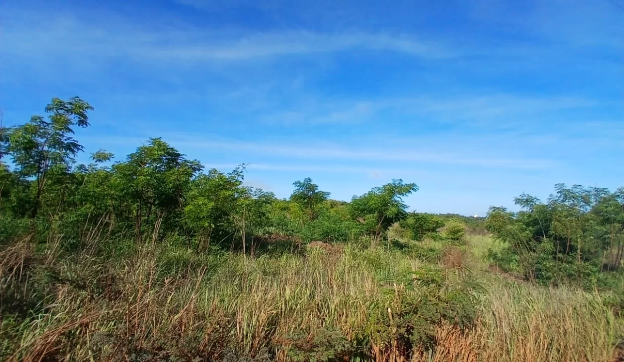 Agricultural Land for Sale – Large Plot in St Joseph, Arsenal, Terre Rouge 3