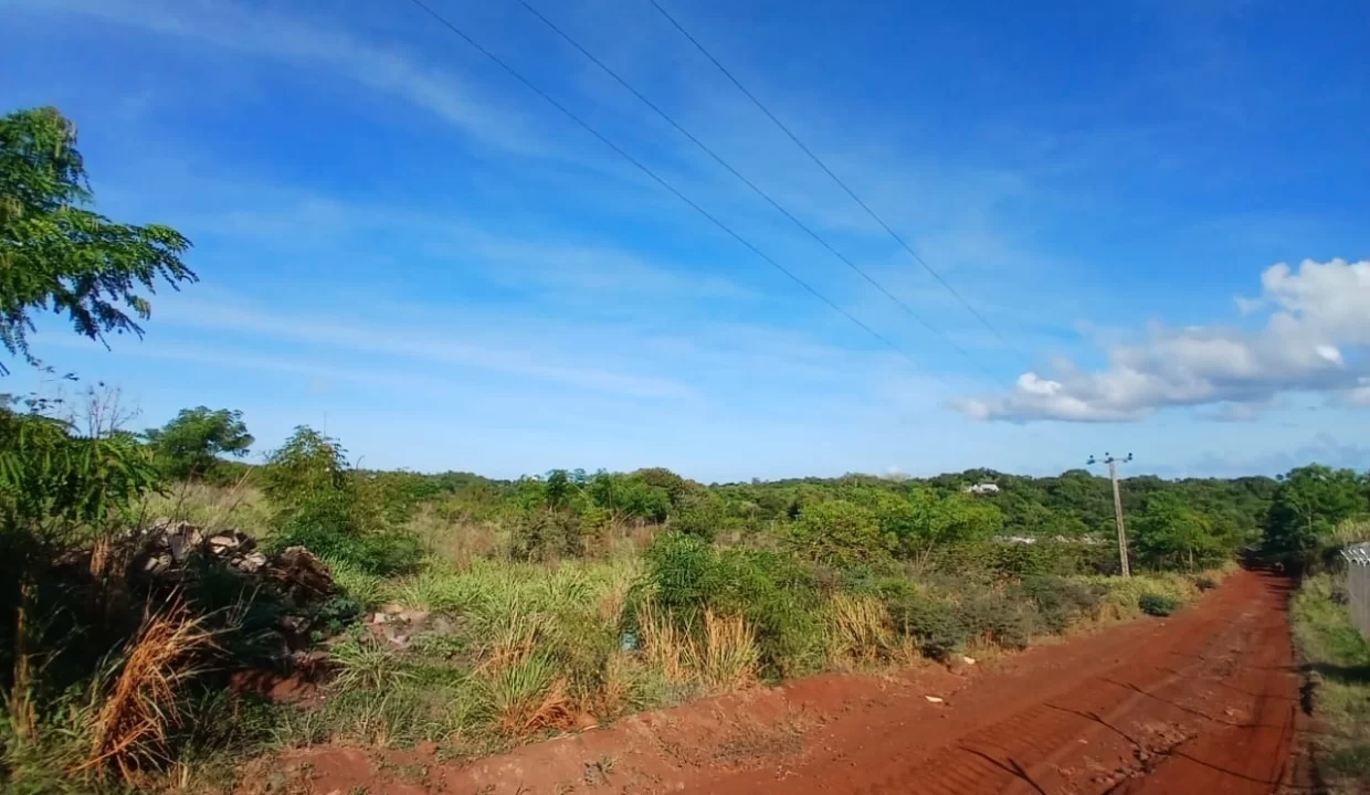 Agricultural Land for Sale – Large Plot in St Joseph, Arsenal, Terre Rouge 4