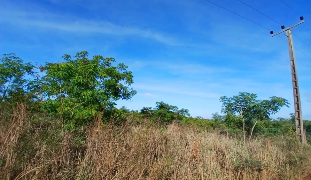 Agricultural Land for Sale – Large Plot in St Joseph, Arsenal, Terre Rouge 5