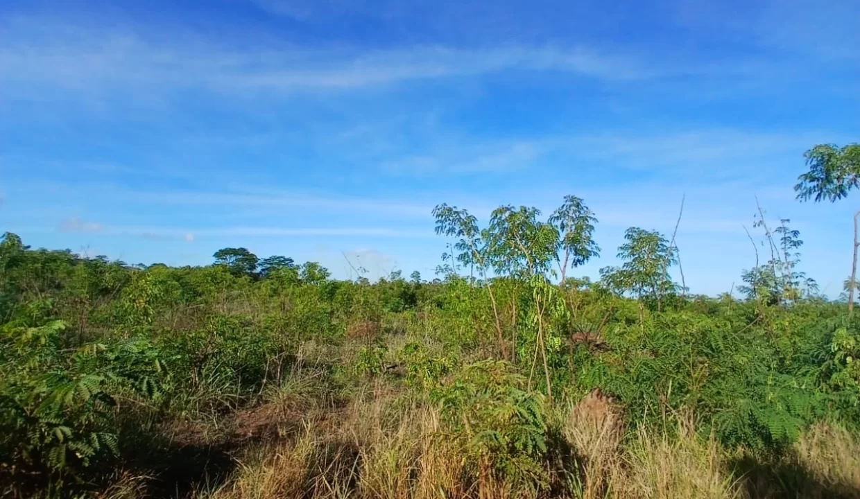 Agricultural Land for Sale – Large Plot in St Joseph, Arsenal, Terre Rouge 7